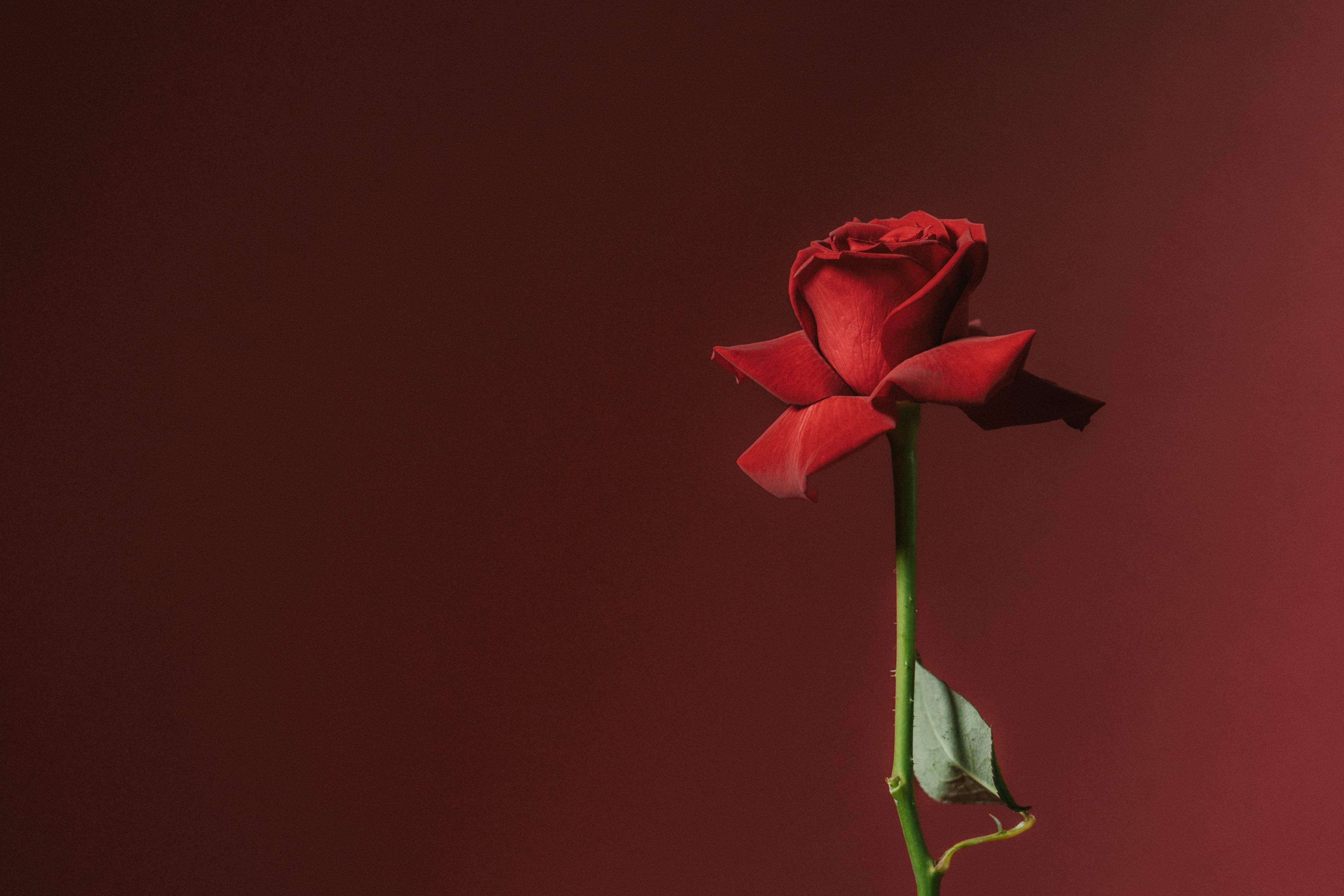VALENTINE GIFT SELECTION