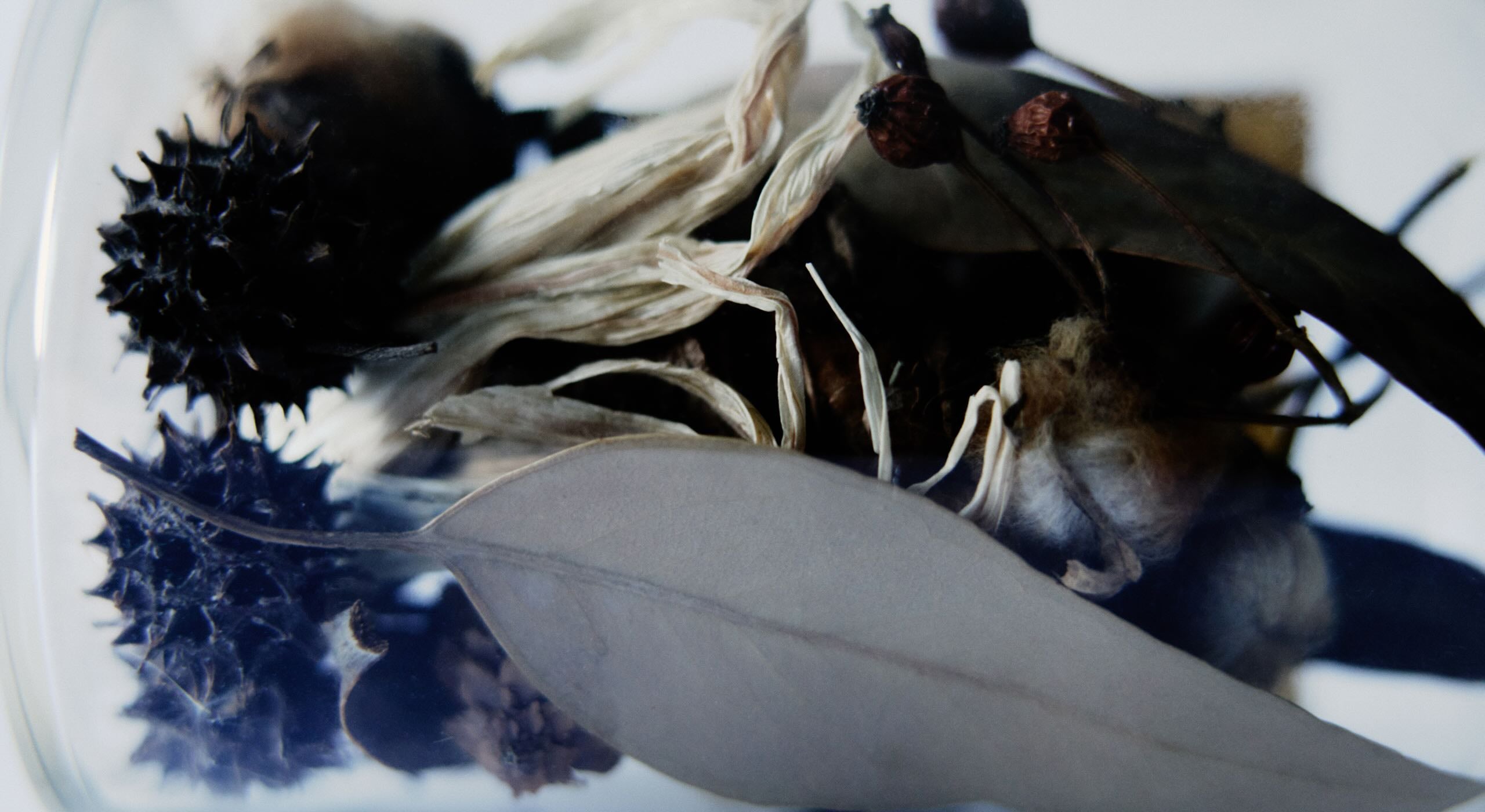 LINC ORIGINAL MAKERS