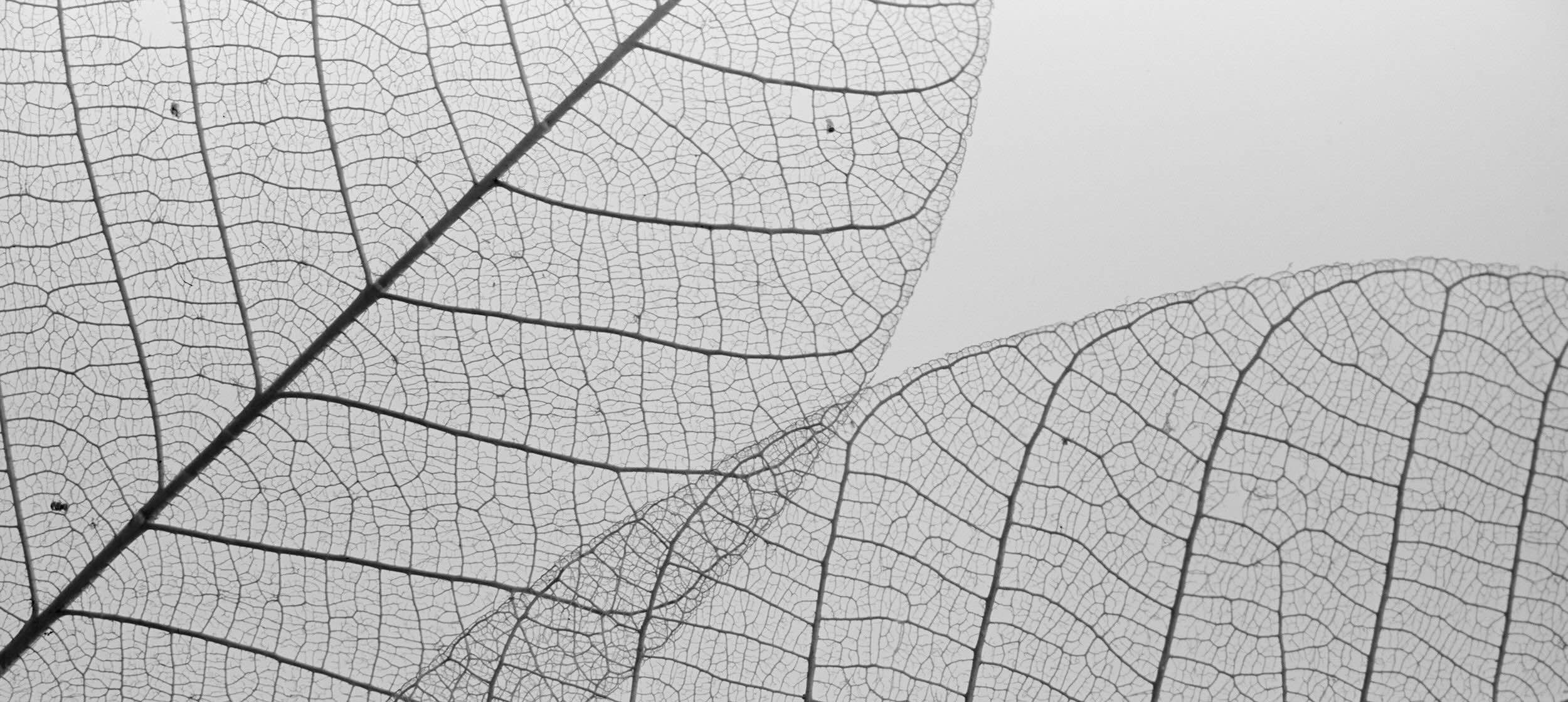 LINC ORIGINAL MAKERS